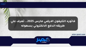 فاتورة التليفون الأرضي مارس 2025.. تعرف على طريقة الدفع الإلكتروني بسهولة
